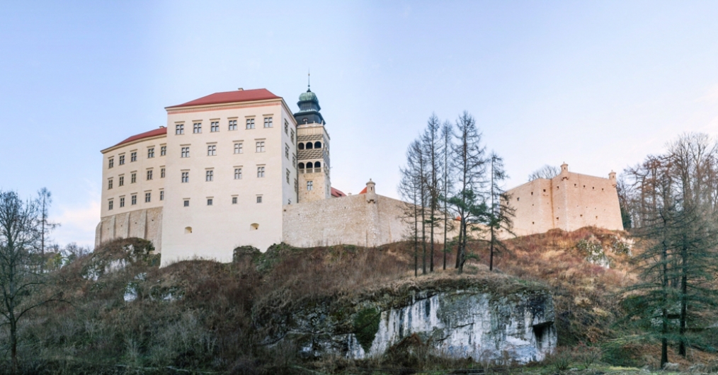 zamek na skale, mury, okna, wieża zakończona hełmem, na zboczu bezlistne drzewa